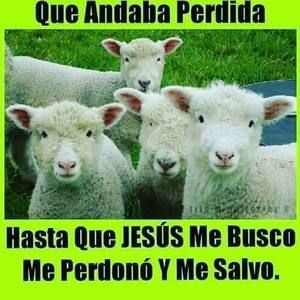 Meet your Posher, Moises